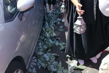 Romería ofrenda a la Virgen del Pino (Foto TA y Antonio Alí)
